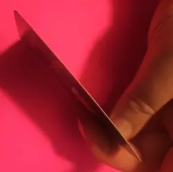 2023 Pokemon SV Paldea Evolved Magikarp #203/193 MINT - Image 3