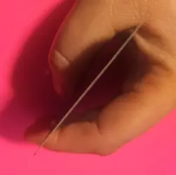 2023 Pokemon SV Paldea Evolved Magikarp #203/193 MINT - Image 4