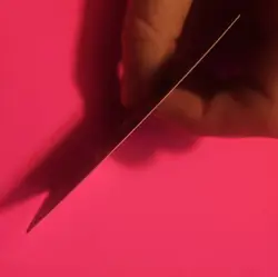 2023 Pokemon SV Paldea Evolved Magikarp #203/193 MINT - Image 5