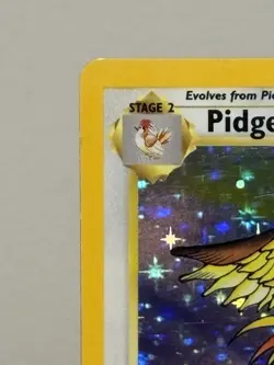 Pokemon Jungle "Pidgeot" 8/64 / Holo Rare / MP/LP - Image 2
