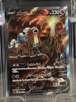 2022 Pokemon TCG Entei V 213/172 S12A VSTAR Universe Special Art Rare Japanese - Image 1