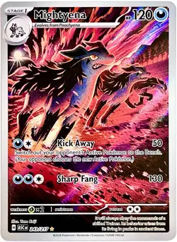 Mightyena 243/217 Illustration RARE Pokemon Card TCG 2026 Ascended Heroes NM - Image 1
