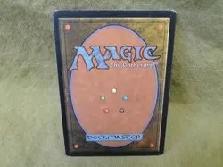 Magic the Gathering: Heart of Bogardan - Image 4