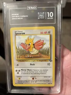 1999 Pokemon Jungle Spearow 62/64 TAG 10 Gem Mint 1st Edition - Image 1