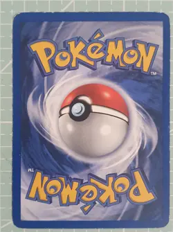 Beedrill 17/102 Rare: Base Set Pokemon Trading Card Game TCG - Image 2