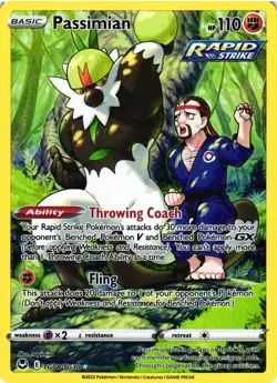 Pokemon TCG Passimian Silver Tempest: Trainer Gallery TG08/TG30 Holo Rare VLP - Image 1