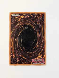 Yugioh TCG - 1x Black Tyranno - SD09-EN008 - LP - 1st Edition - Common - 2006 - Image 2