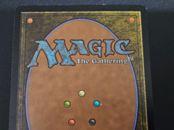 1x Merrow Commerce - Lorwyn (LRW) • Regular 72/301 LP Condition MTG - Image 5