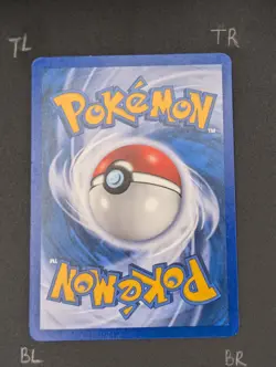 Pokemon TCG Donphan 7/147 Aquapolis Non-Holo (LP, NM Front Clean Copy) - Image 4