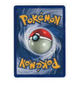 Pokemon Charmeleon 24/102 Base Set WOTC 1999 shadowless-HP - Image 2