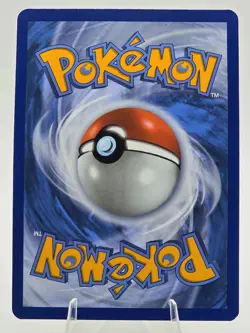 N's Zekrom - MEP 031 - Ascended Heroes Pokemon TCG Black Star Promo from ETB - Image 2