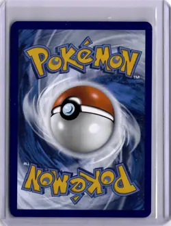 Squirtle - 048 (Cosmos Holo) 048 Sv: Scarlet & Violet Promo Cards Holo Pokemon - Image 2