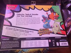 Pokemon Ascended Heroes Pin Collection - Image 2