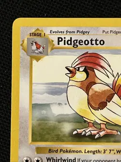 Pokemon Pidgeotto 022/102 Base Set (Shadowless) (NEVER PLAYED) *Near Mint* - Image 3
