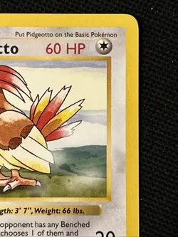 Pokemon Pidgeotto 022/102 Base Set (Shadowless) (NEVER PLAYED) *Near Mint* - Image 4