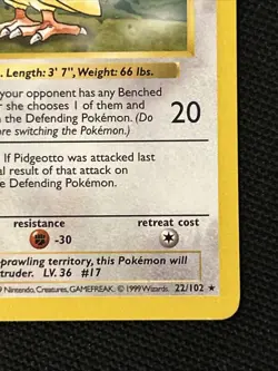 Pokemon Pidgeotto 022/102 Base Set (Shadowless) (NEVER PLAYED) *Near Mint* - Image 5