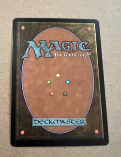 Seedtime - Judgement - MTG - Magic the Gathering - Image 3
