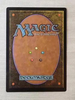 NM Adarkar Wastes Classic Sixth Edition Mtg Magic the Gathering - Image 2