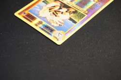 Pokemon TCG, Arcanine, LP, XY Evolutions, 18/108, Reverse Holo, ENG - Image 5