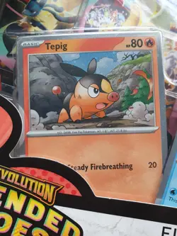 Pokemon TCG: Ascended Heroes - First Partners Deluxe Pin Collection - Image 3