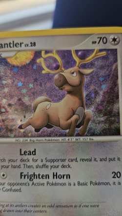 Stantler CLC 016/034 NM English Pokemon TCG Classic Collection (ENG) - Image 2