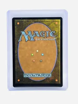 Raph & Mikey, Troublemakers - 167 - TMT - NM - MTG Magic the Gathering - Image 2