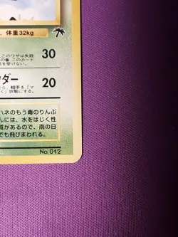 1999 POKEMON JPN PROMO SOUTHERN ISLANDS SOUTHERN ISLAND-R.I. BUTTERFREE - Image 2
