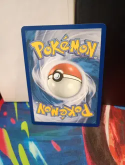 Phanpy Pokemon TCG Holo Illustration Rare Card 205/191 Sv08: Surging Sparks - Image 2