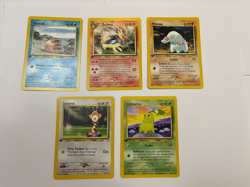 1st Edition Pokemon Neo Genesis Lot Phanpy Swinub Chikorita Sentret Quilava - Image 1