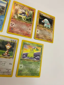 1st Edition Pokemon Neo Genesis Lot Phanpy Swinub Chikorita Sentret Quilava - Image 3