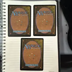 Mtg Sword Shield Helm Of Kaldra Set - Image 2