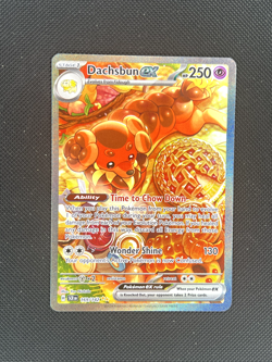 Dachsbun EX 169/142 Special Illustration Rare Stellar Crown Pokemon Card NM - Image 1