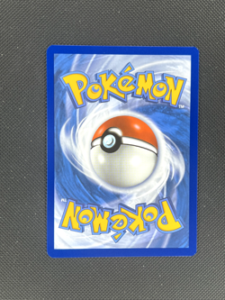 Dachsbun EX 169/142 Special Illustration Rare Stellar Crown Pokemon Card NM - Image 2