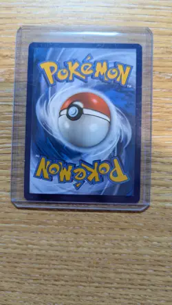 Pokemon Card Dachsbun ex 169/142 Special Illustration Rare Stellar Crown NM - Image 2