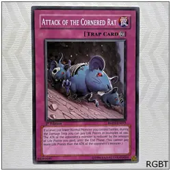 Attack of the Cornered Rat - RGBT-EN075 - Common 1st Edition Yugioh - Image 1
