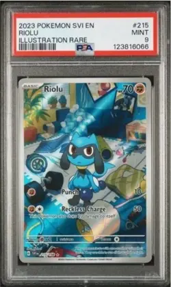 2023 Pokemon Riolu #215 SV:EN Scarlet & Violet Illustration Rare MINT PSA 10 - Image 1