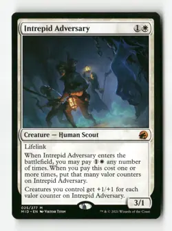 Intrepid Adversary - #25 - Non Foil - MTG - Near Mint - Image 1