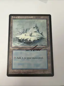 MTG Snow-Covered Island (Ice Age) #371 SIGNED Anson Maddocks - Image 1