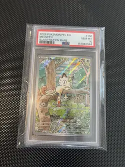 Meowth 106/094 Illustration Rare 2025 Pokemon Phantasmal Flames PSA 10 Gem Mint - Image 1