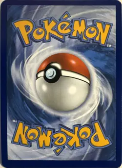 Pikachu 051/162 Promo 2026 Pokemon Day Near Mint - Image 2