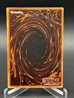 Yugioh TCG 2x Blue-Eyes White Dragon SDK-001 Vintage Starter Deck Kaiba LP-DMG - Image 5