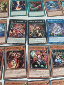 Yugioh cards TCG Beware of Traptrix Structure Deck 1st Edition 41 cards in box - Image 2