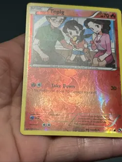 Pokemon TCG Tepig 25/113 Legendary Treasures Reverse Holo Common NM/ VLP - Image 5