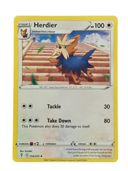 New: 2021 Pokemon TCG Herdier Evolving Skies 134 Regular Uncommon - Image 1