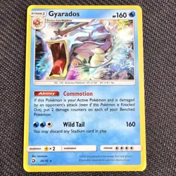 Gyarados - 20/70 - Holo - Dragon Majesty - Pokemon TCG - NM - Image 1