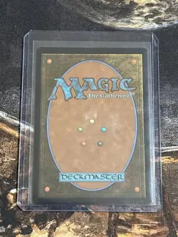 Wizards of the Coast Wan Shi Tong, Librarian Avatar ATLA Blue #0078 English 2025 - Image 2