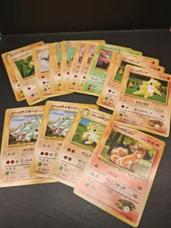 Japanese Pokemon Brock Gym Lot 19pc NO RARITY SYMBOL Nivi City Gym Deck Vintage - Image 1