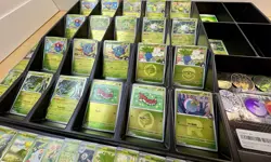 Pokemon TCG Ascended Heroes Card Lot Holo’s And Reverse Holo’s Grass Type Cards - Image 3