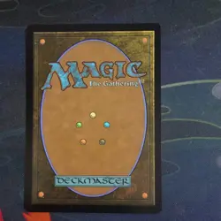 MTG Spider-Punk (0207) (Borderless) [Marvel Spider-Man, Near Mint] - Image 2