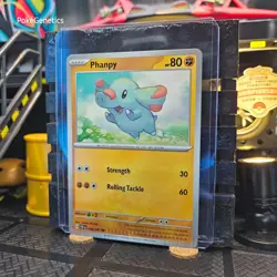 Phanpy Crimp Error Paldean Fates Pokemon TCG 048/091 Scarlet & Violet Common - Image 3